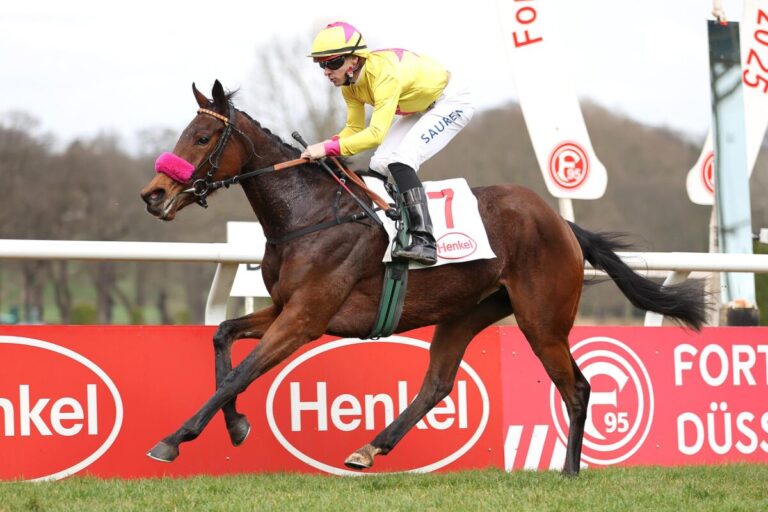 Alles wie erwartet bei den Dreijährigen – Grewe siegt auch mit Stugardia