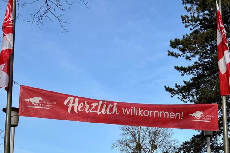 Verspätete Besitzerausweise: Eintritt mit 2024-Edition möglich