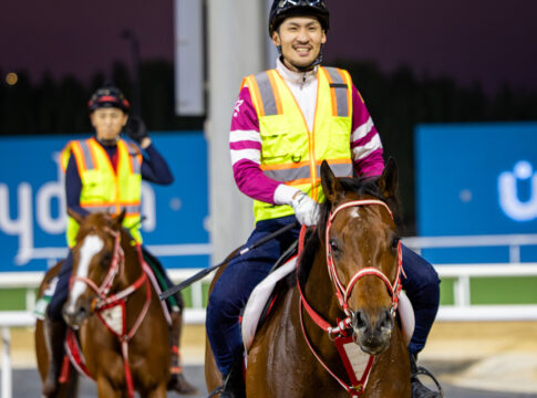 Nach World Cup-Pleite: Yahagi macht Forever Young-Disput öffentlich Forever Young Foto: dubairacingclub.com