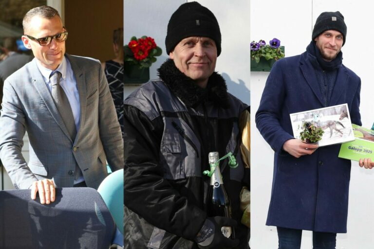 Führendes Trainer-Trio schickt jeweils ein Duo nach Wambel