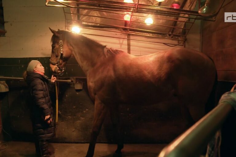 Luisa Keller zeigt im großen TV-Beitrag Skijöring in St. Moritz