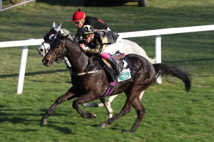 Nerian siegt unter Bertrand Flandrin