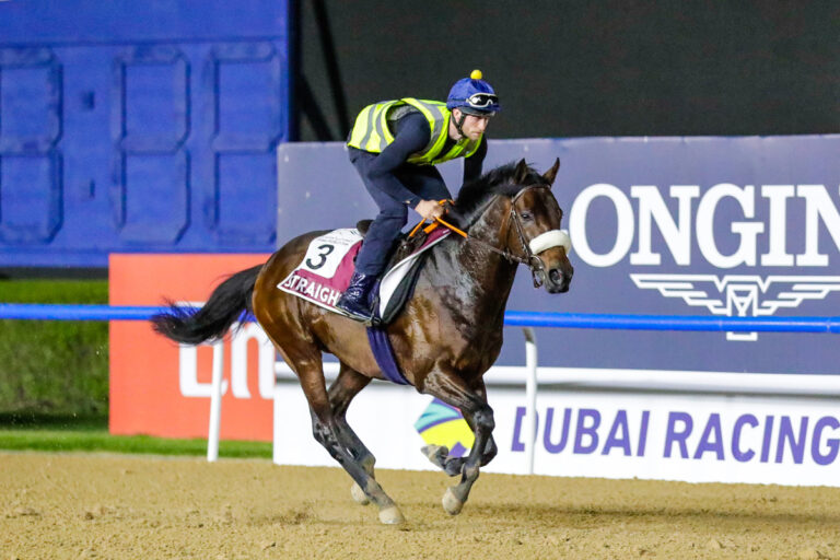 Straight bei der Morgenarbeit in Meydan Foto: DRC