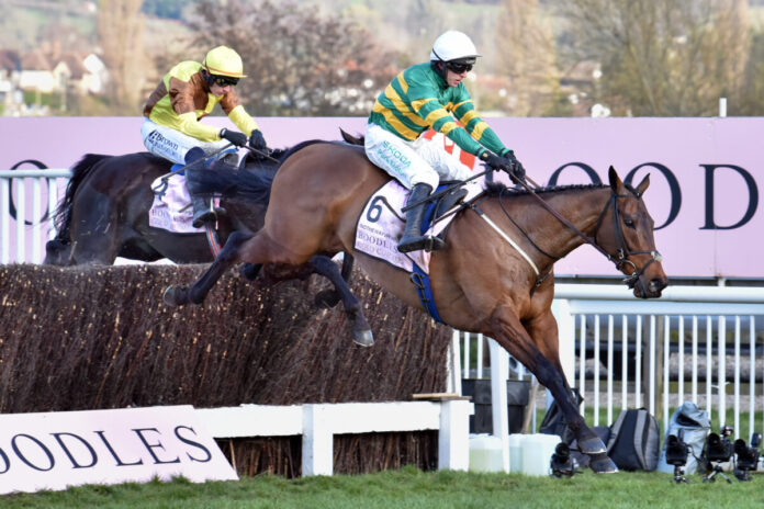 Inothewayurthinkin gewinnt den Cheltenham Gold Cup Foto: Sorge