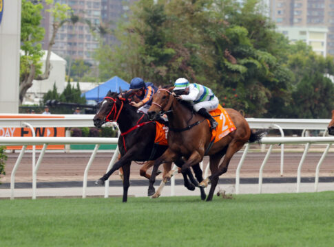 20250427 ST R7 JCX_0261