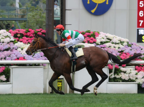 20250427 ST R8 JCX_1575