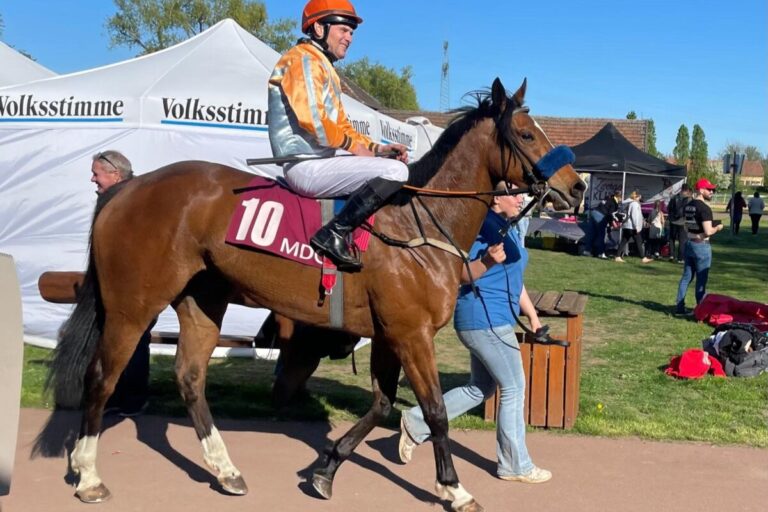 Fuhrmanns Malhumorada beschließt die Karte in Magdeburg