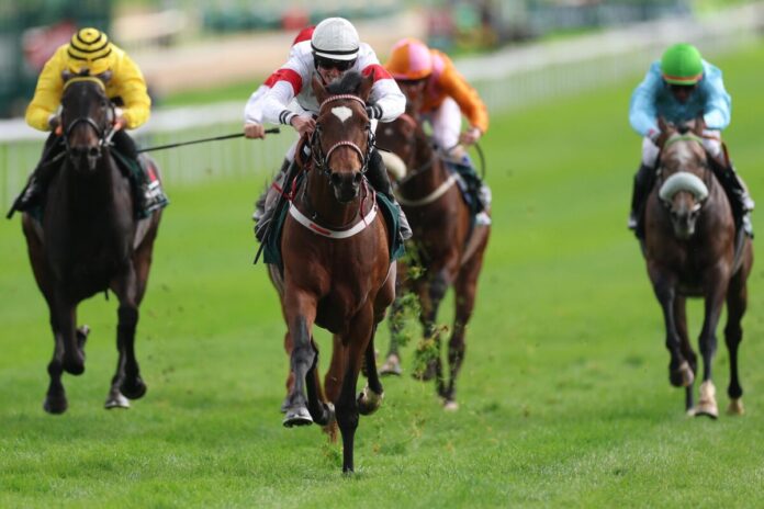 Alleno siegt unter Sibylle Vogt im Sauren Dachfonds Preis (ex Gerling-Preis)