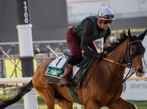 Calandagan (Archiv) Foto: DRC