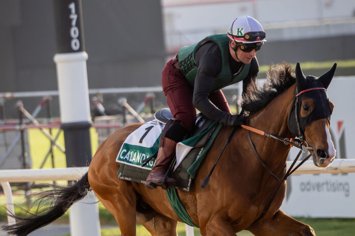 Calandagan (Archiv) Foto: DRC