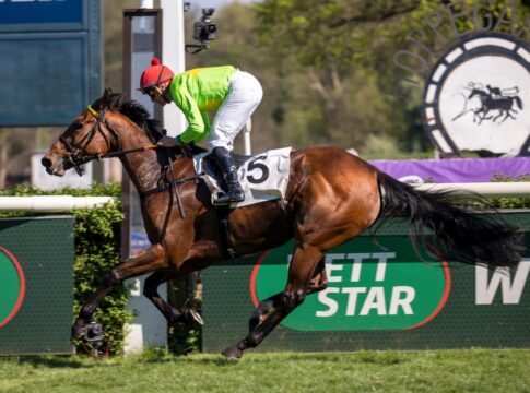 Cherub Rock siegt unter Wladimir Panov