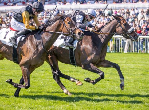 Daydream Express siegt unter Thore Hammer-Hansen in der Siedler & Kowalski Malermeister GmbH Hoppegartener Stutenmeile