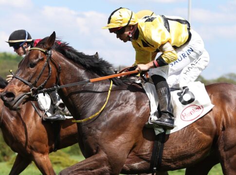 Asaaleeb siegt unter Thore Hammer-Hansen