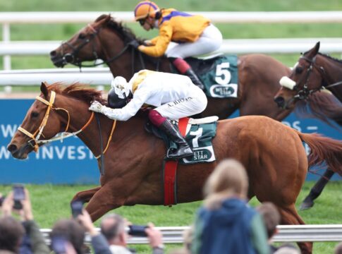 Ellerstina siegt unter Andrea Ricupa