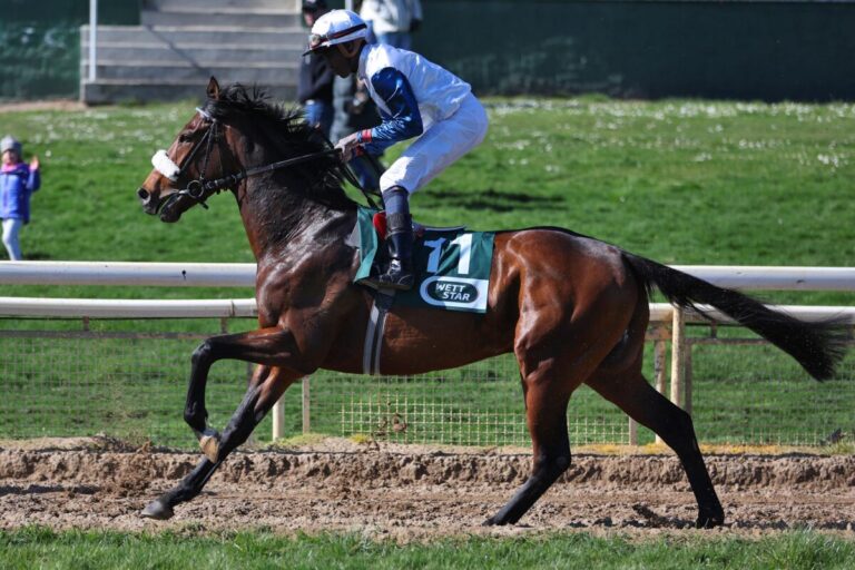 9 Derbystreicher – Westminster Eagle nicht mehr dabei