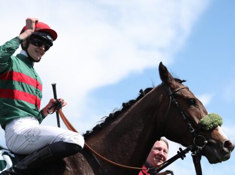 Namaron siegt unter Leon Wolff im Großen Preis der Wohnstätte Krefeld – Dr. Busch-Memorial