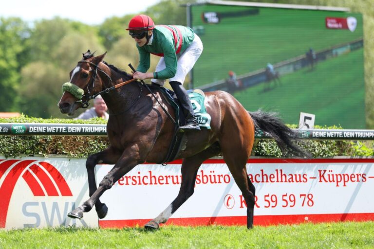 Namaron bei 200.000 Pfund zugeschlagen – Ziel USA?