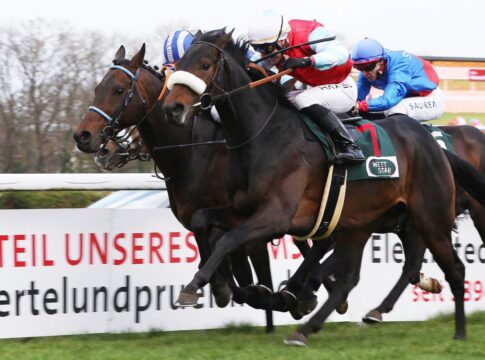 Wintertraum siegt unter Michal Abik im Grand Prix-Aufgalopp