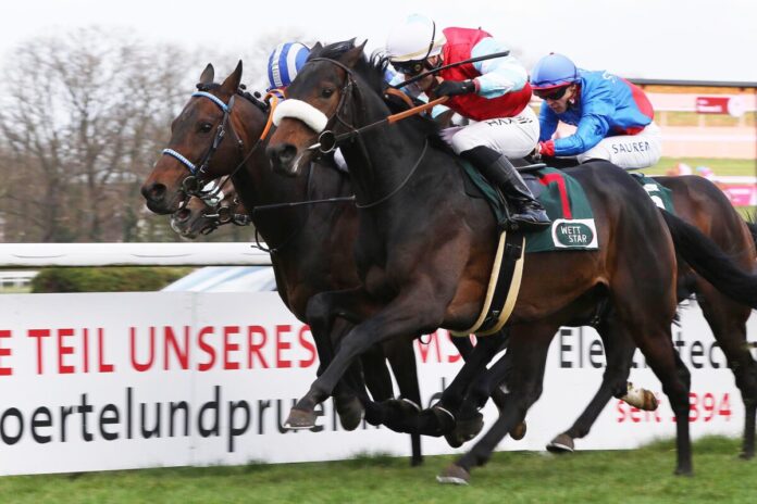 Wintertraum siegt unter Michal Abik im Grand Prix-Aufgalopp