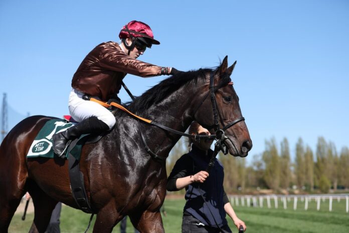 Zuckerhut siegt unter Sibylle Vogt