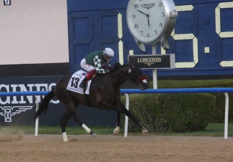 Zukunft von Raging Torrent gesichert – Stallion-Platz gefunden