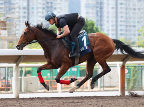 Goliath Foto: hkjc.com