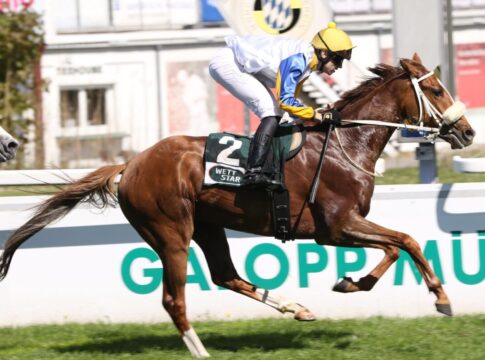 Algabas siegt unter Leon Wolff