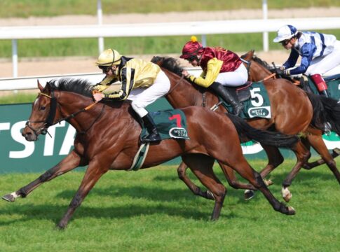 Blue Ocean Dream siegt unter Jozef Bojko