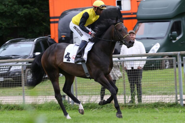 Nach Baden-Streichungen: 12 im GP, 14 im Trial und 7 in der Meile