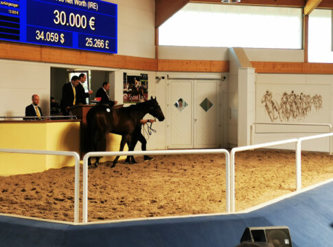 Net Worth im Ring der BBAG