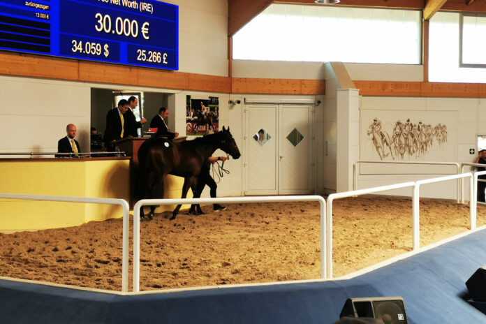 Net Worth im Ring der BBAG