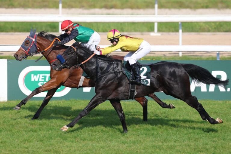 Dream Seeker zweiter Oasis Dream-Sieger in 30 Minuten