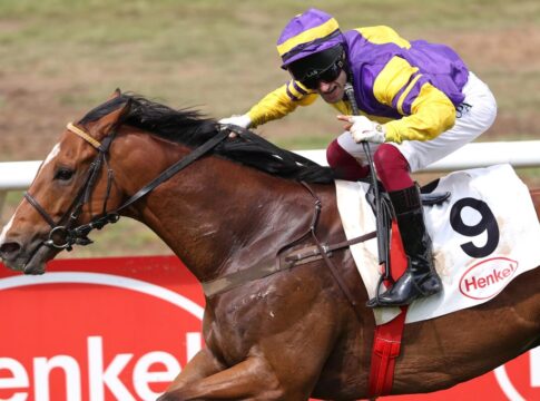 Willy Campbell siegt unter Andrea Ricupa