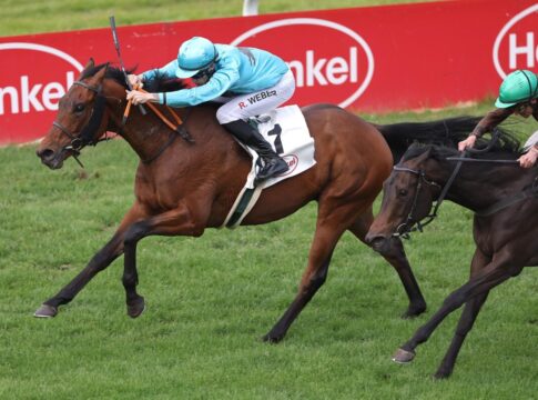 Why Limit siegt unter Robin Weber