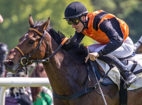 Earl of Lips siegt unter Michal Abik