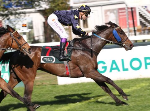 Golden Passport siegt unter Bertrand Flandrin