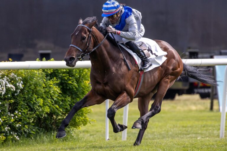 Wöhlers Dreifach-Sieger Switsch für Kronimus Badener Meile nachgenannt