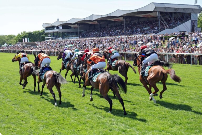 Sport-Welt TV Wett-Check für Hannover heute