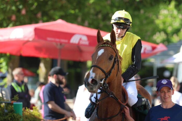 Itabuna siegt unter Leon Wolff