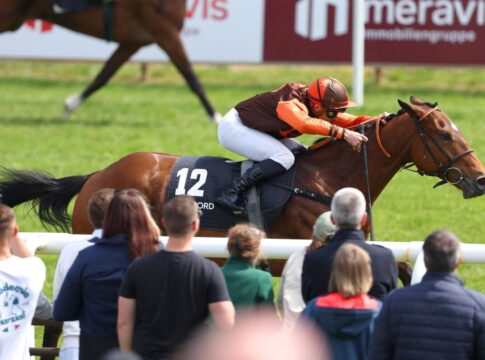 Koffi Vulcano siegt unter Wladimir Panov