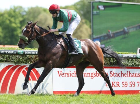 Namaron siegt unter Leon Wolff im Großer Preis der Wohnstätte Krefeld – Dr. Busch-Memorial