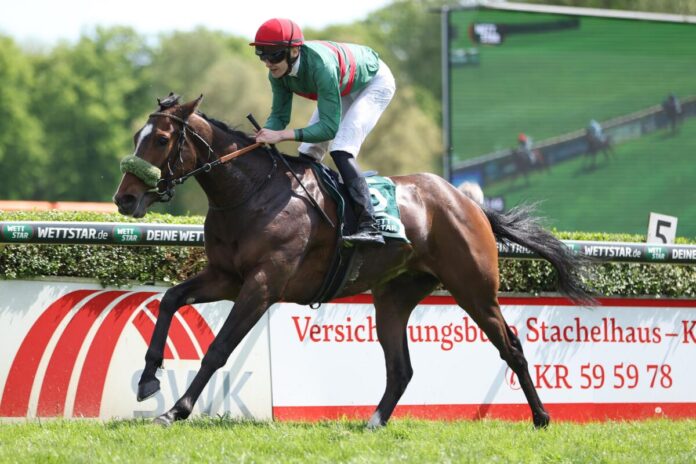 Namaron siegt unter Leon Wolff im Großer Preis der Wohnstätte Krefeld – Dr. Busch-Memorial Namaron siegt unter Leon Wolff im Großer Preis der Wohnstätte Krefeld – Dr. Busch-Memorial