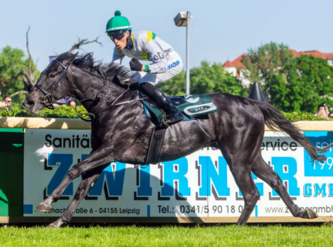 Loch Swan siegt in Leipzig Foto: Sorge