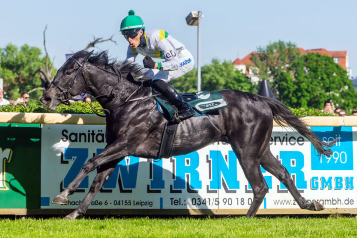 Loch Swan siegt in Leipzig Foto: Sorge