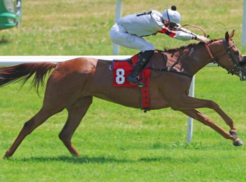 Meeresbrise siegt unter Leon Wolff