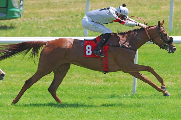 Neun Vorstarterinnen im Diana-Trial – Zweimal Option Oaks d’Italia Neun Vorstarterinnen im Diana-Trial – Zweimal Option Oaks d’Italia