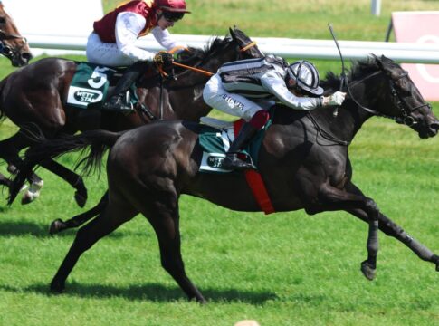 North Hunter siegt unter Andrea Ricupa