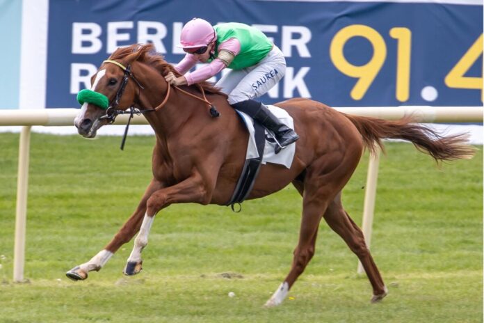 Pasand siegt unter Thore Hammer-Hansen