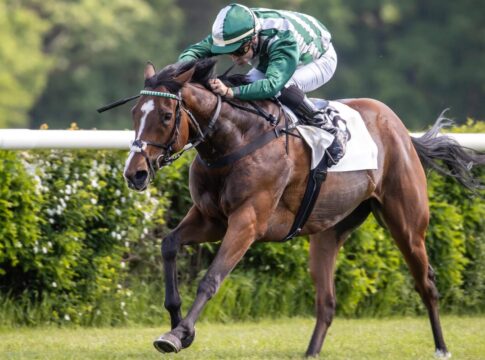 Poppy Pimento siegt unter Rene Piechulek