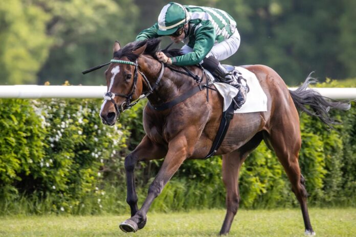 Poppy Pimento siegt unter Rene Piechulek